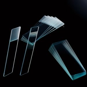 Lam kính – Biologix