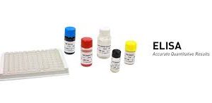 KIT Elisa – Teco